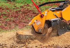 Best Tree Health Inspection  in Gang Mills, NY